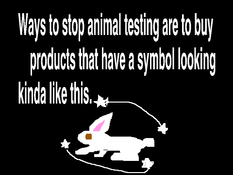 ANIMAL TESTING MUST STOP!