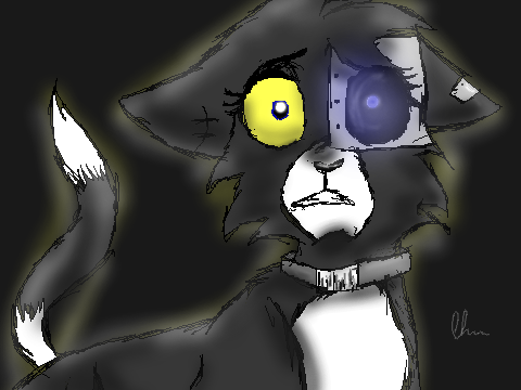 Cats of the Experiments Bio-Skunk