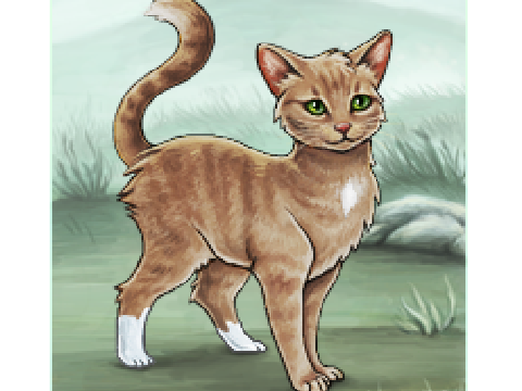 WNH Warrior cat adoptions
