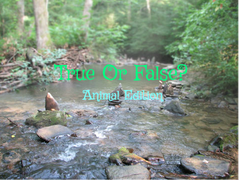 True Or False (Animal Edition)