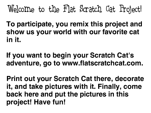 Flat Scratch Cat Project