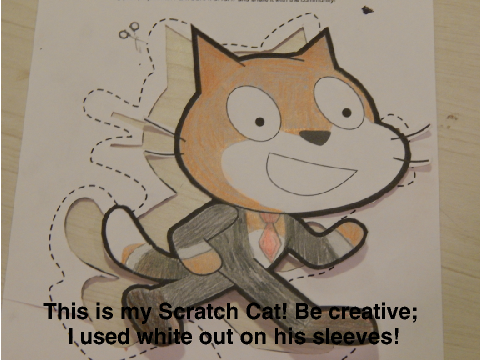 Flat Scratch Cat Project Example