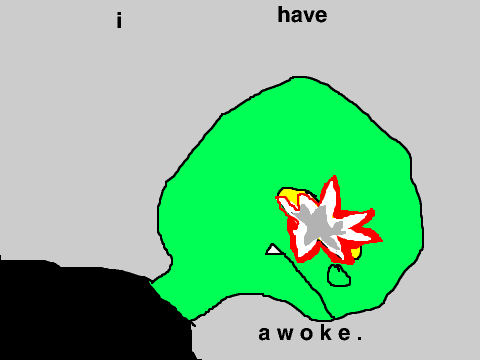 a w o k e . 