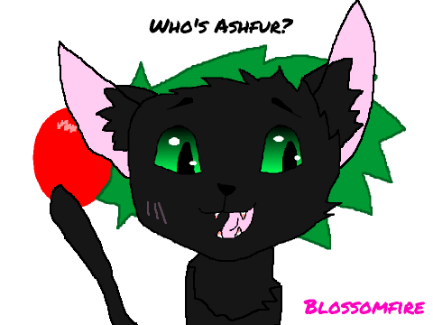Who's Ashfur?