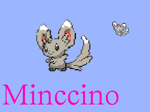 Minccino Animation