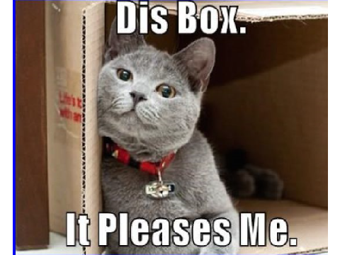 Cat Memes! =^..^=