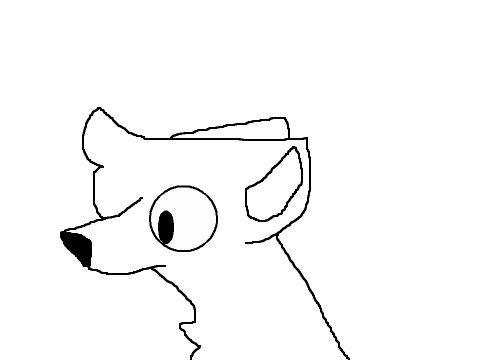 random animation