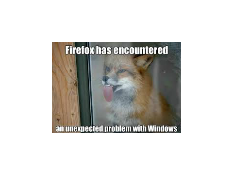Funniest Google Picture Contest!!! remix
