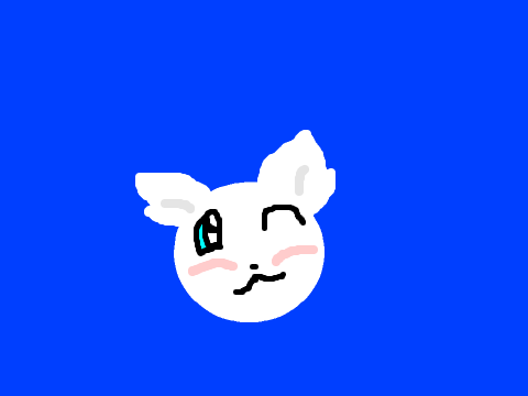 Getting To Know This Cat