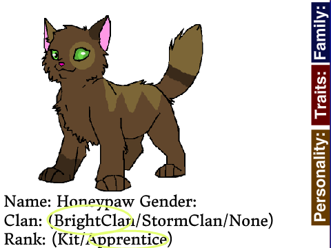 Kitten/Apprentice Advanced Bio - Honeypaw