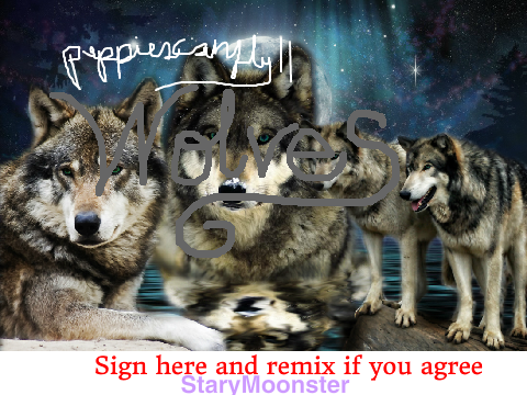Wolves remix