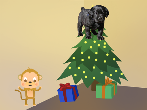 super monkey and puppy ep 1