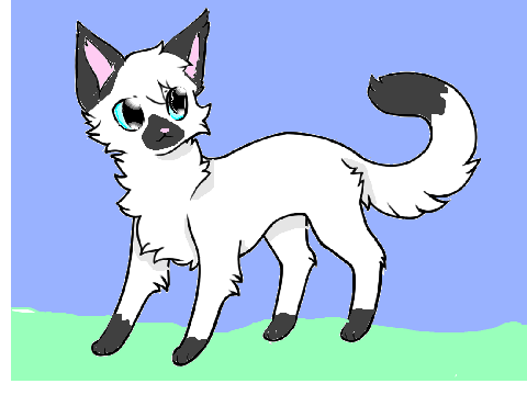 Warrior Cat CC entry