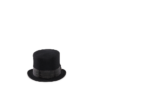 remix to add a hat to the pup! remix