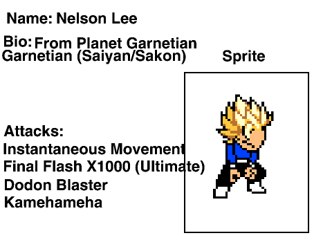 LSW Signup NELSON