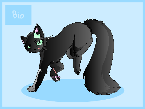 Foxclan RP Cat Bio remix