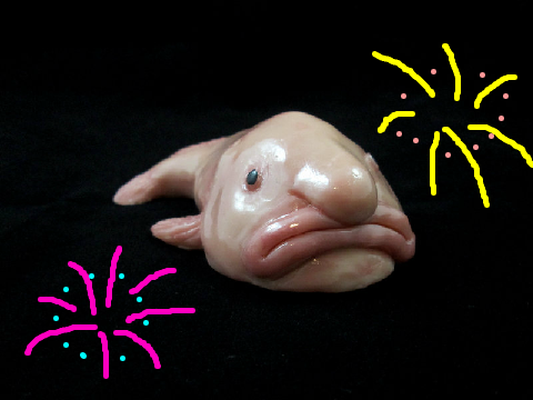 DO YOU LIKE THE BLOB FISH?