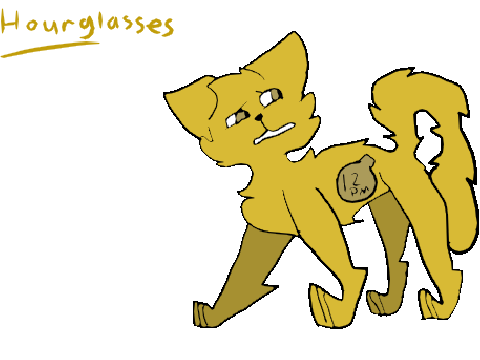 Hourglasses >SPECIES<