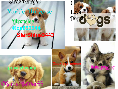 sign if you LOVE DOGS remix remix remix remix remix remix remix