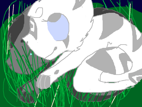 Set Fire To The First Bar ~ GraystripexSilverstream
