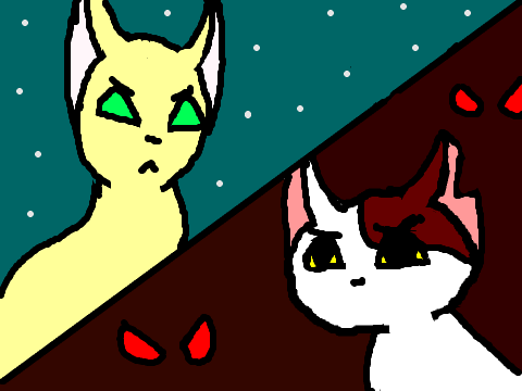 StarClan OR The Place Of No Stars?