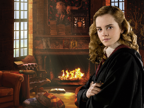 Talk to Hermione Granger!