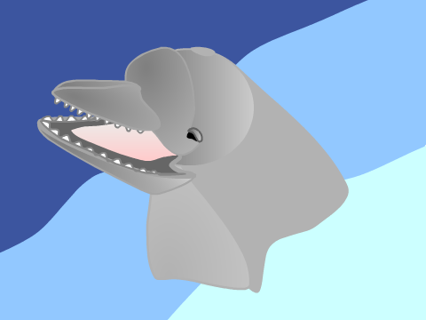 Dolphin Process :D