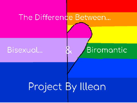 The Difference Between Bisexual and Biromantic.