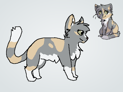 Tansy's Ref
