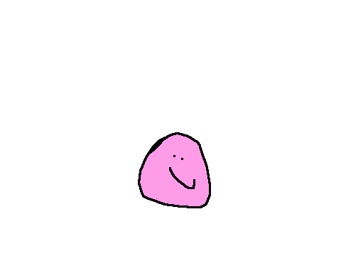 BOB