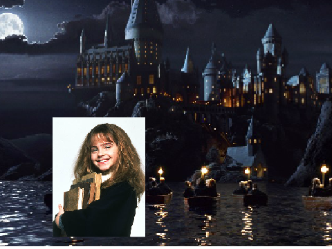 Hermione year 1 stamp remix No.2 