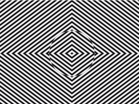 illusion