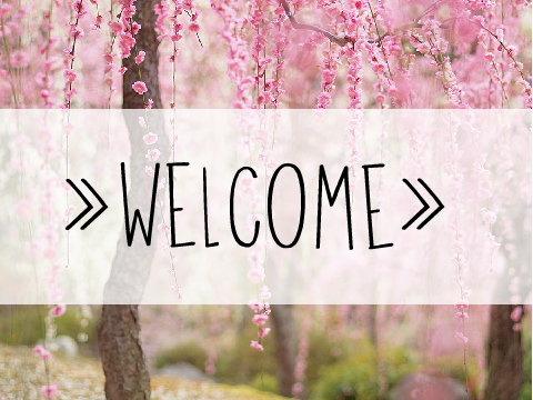 Welcome | -chocolate