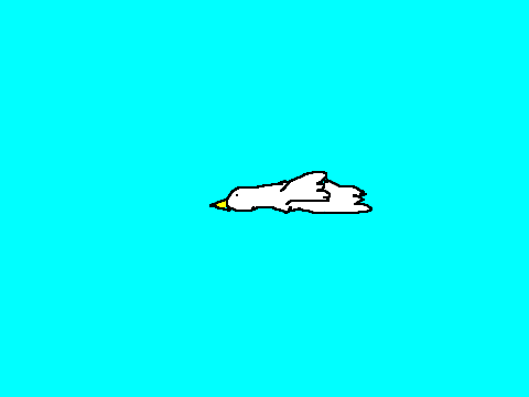 Flappy seagull