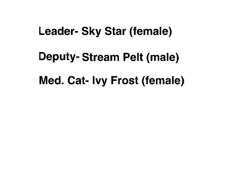 Cloud Clan (Not Finished)