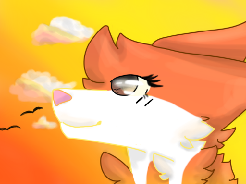 + sunset lover | gift +