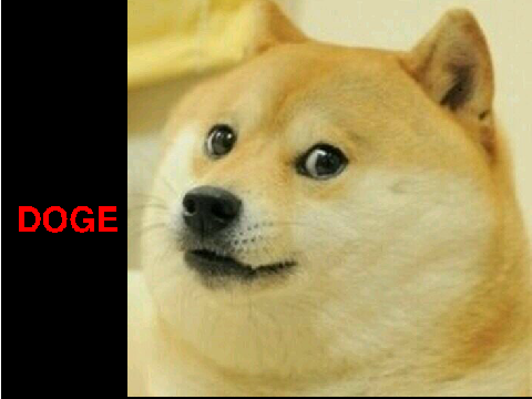 DOGE