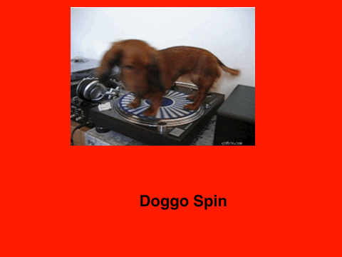 Doggo Spin