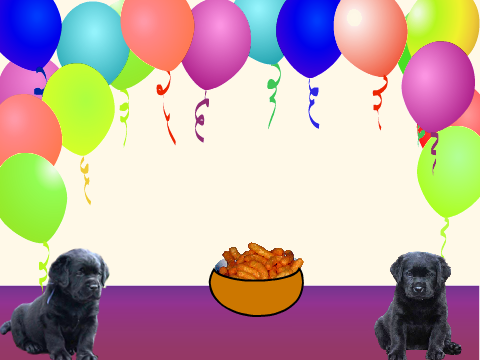 Dog Birthday