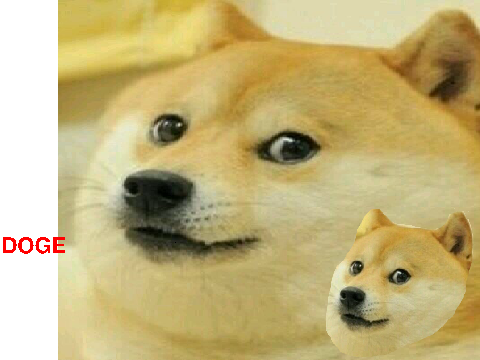 DOGE 2