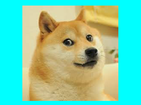 Doge Swirl Face