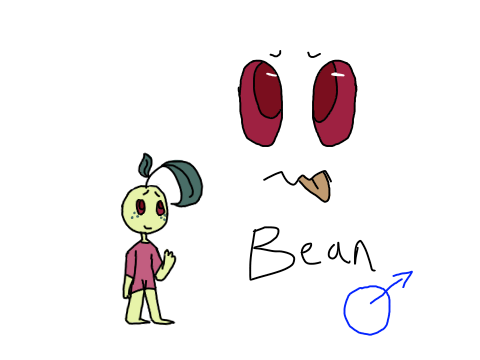 Bean