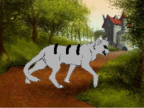 My Warrior Cat