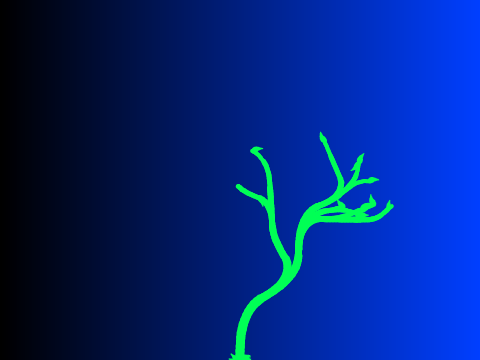 Vine