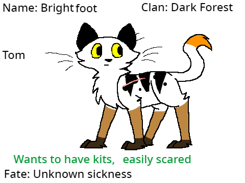 Warrior Cat Generator Version 2