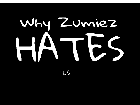 Why Zumiez Hates Us...