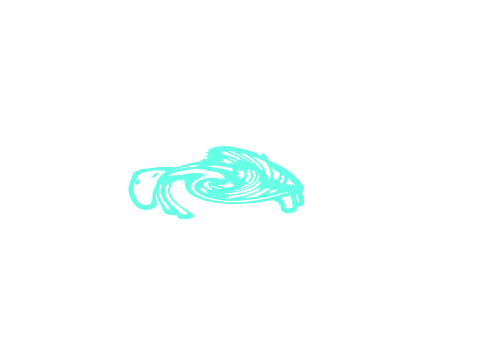 Pretty gay turtle