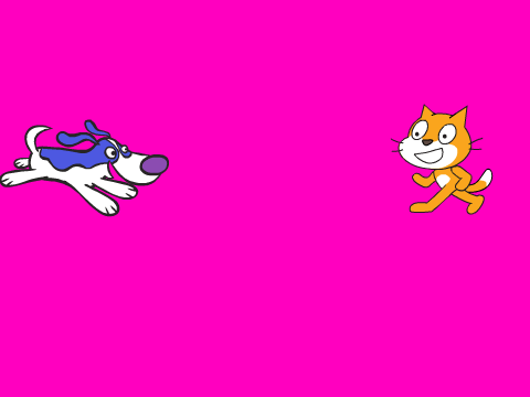 Cat vs Dog