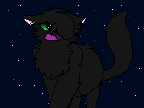 Angry Cat CC!! remix