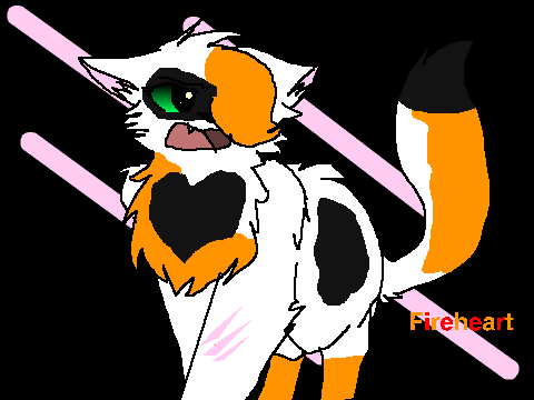 Angry Cat CCE